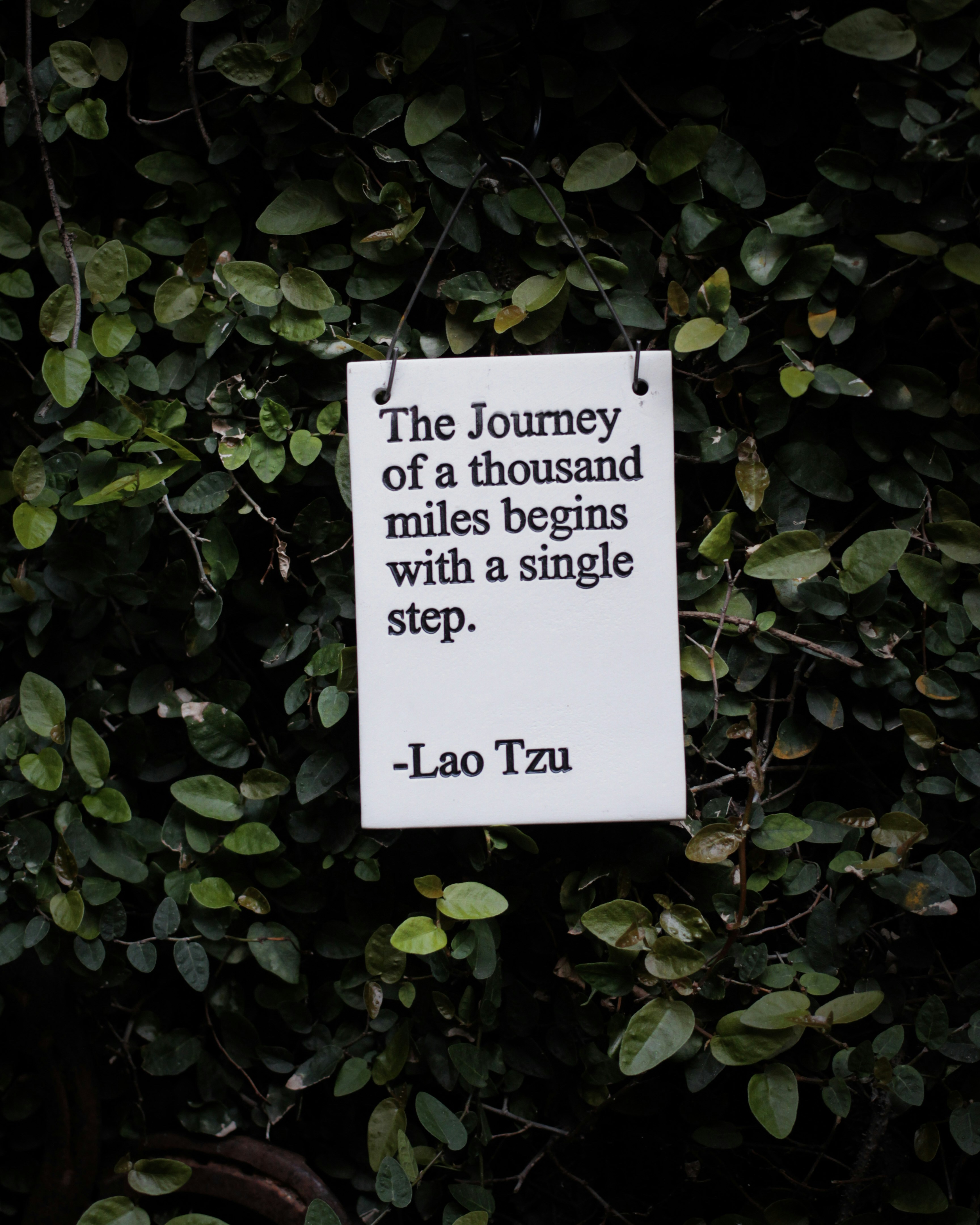 Quote